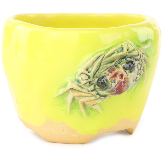 Pot à bonsaï rond jaune et vert de Masashi Furumoto - 95 x 95 x 67 mm