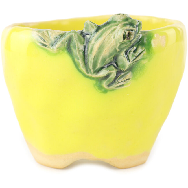 Pot à bonsaï rond jaune et vert de Masashi Furumoto - 85 x 85 x 63 mm