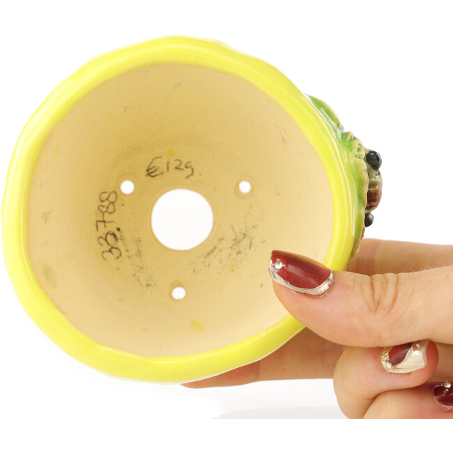 Runder gelber und grüner Bonsai-Topf von Masashi Furumoto - 95 x 95 x 67 mm