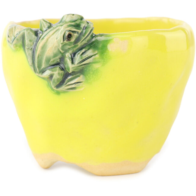 Pot à bonsaï rond jaune et vert de Masashi Furumoto - 85 x 85 x 63 mm