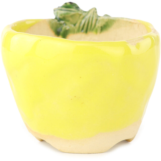 Vaso bonsai rotondo giallo e verde di Masashi Furumoto - 85 x 85 x 63 mm