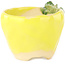 Pot à bonsaï rond jaune et vert de Masashi Furumoto - 85 x 85 x 63 mm