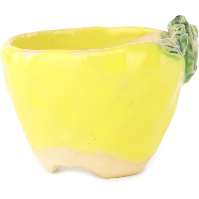 Pot à bonsaï rond jaune et vert de Masashi Furumoto - 85 x 85 x 63 mm