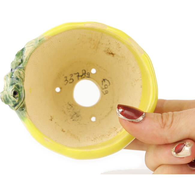 Pot à bonsaï rond jaune et vert de Masashi Furumoto - 85 x 85 x 63 mm