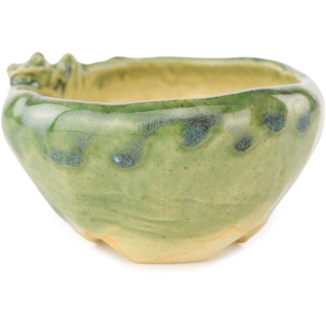 Maceta redonda para bonsái verde de Masashi Furumoto - 68 x 68 x 35 mm