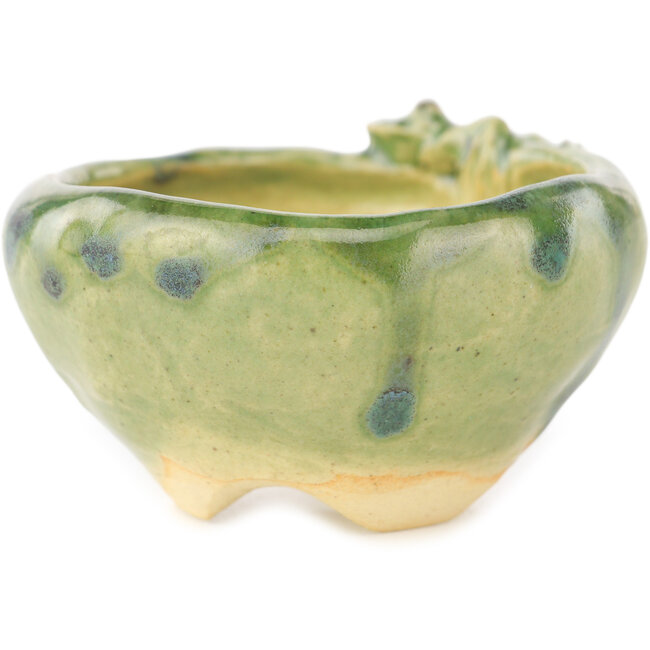 Maceta redonda para bonsái verde de Masashi Furumoto - 68 x 68 x 35 mm