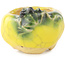 Pot à bonsaï rond jaune et vert de Masashi Furumoto - 30 x 30 x 20 mm