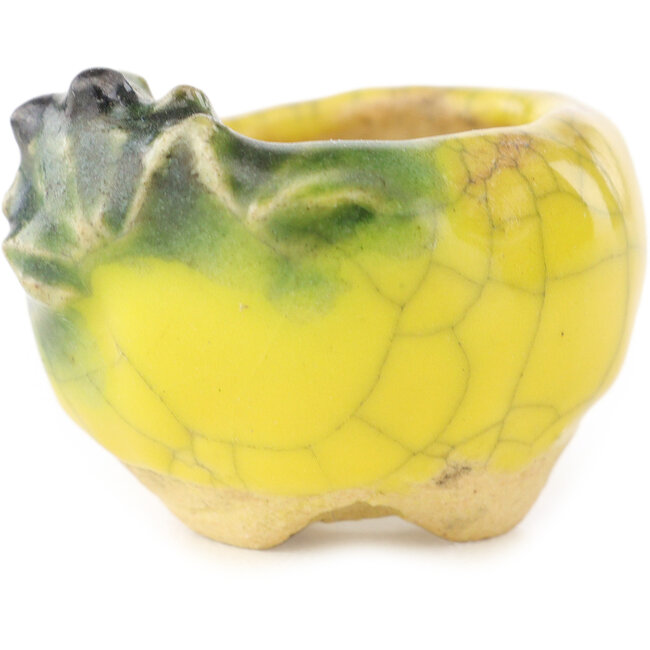 Maceta redonda amarilla y verde para bonsái de Masashi Furumoto - 30 x 30 x 20 mm