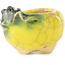 Pot à bonsaï rond jaune et vert de Masashi Furumoto - 30 x 30 x 20 mm