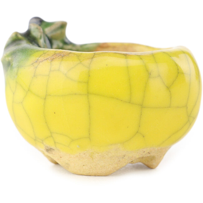 Vaso bonsai rotondo giallo e verde di Masashi Furumoto - 30 x 30 x 20 mm