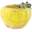 Pot à bonsaï rond jaune et vert de Masashi Furumoto - 30 x 30 x 20 mm