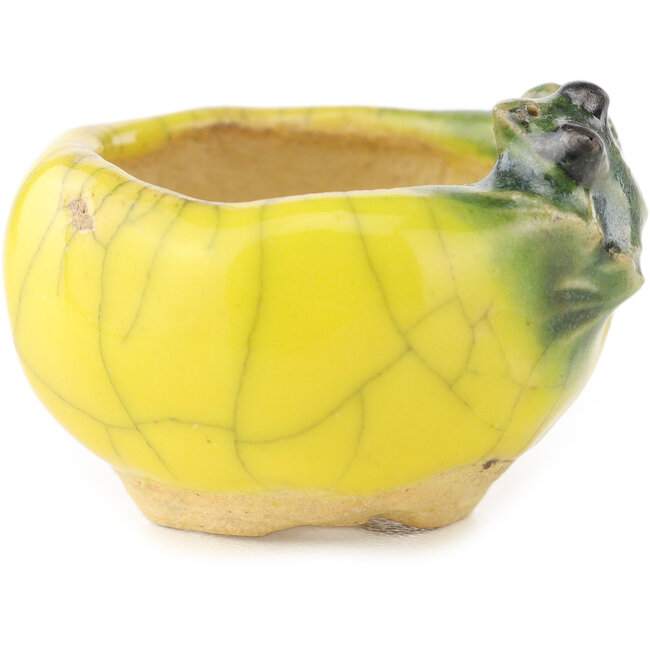 Pot à bonsaï rond jaune et vert de Masashi Furumoto - 30 x 30 x 20 mm