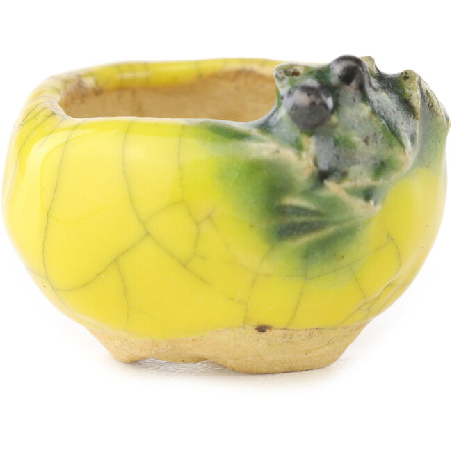 Vaso bonsai rotondo giallo e verde di Masashi Furumoto - 30 x 30 x 20 mm