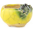 Pot à bonsaï rond jaune et vert de Masashi Furumoto - 30 x 30 x 20 mm
