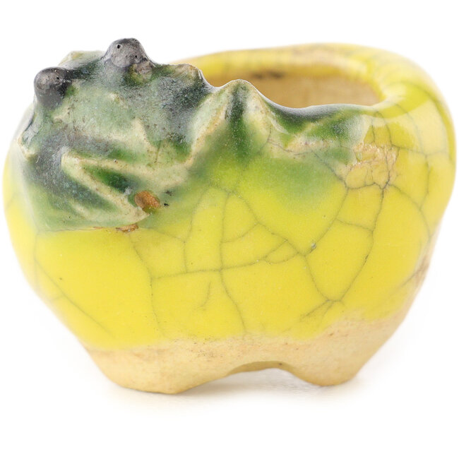 Vaso bonsai rotondo giallo e verde di Masashi Furumoto - 30 x 30 x 20 mm