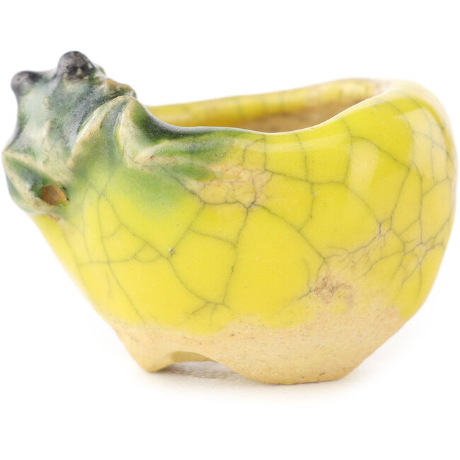 Vaso bonsai rotondo giallo e verde di Masashi Furumoto - 30 x 30 x 20 mm