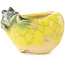 Pot à bonsaï rond jaune et vert de Masashi Furumoto - 30 x 30 x 20 mm