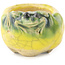 Pot à bonsaï rond jaune et vert de Masashi Furumoto - 30 x 30 x 20 mm