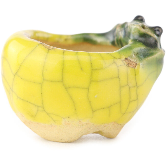 Vaso bonsai rotondo giallo e verde di Masashi Furumoto - 30 x 30 x 20 mm
