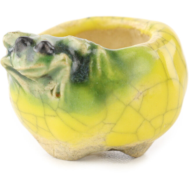 Round yellow and green bonsai pot by Masashi Furumoto - 30 x 30 x 20 mm