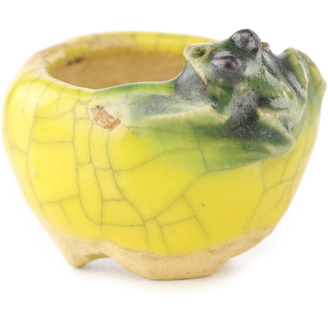 Vaso bonsai rotondo giallo e verde di Masashi Furumoto - 30 x 30 x 20 mm
