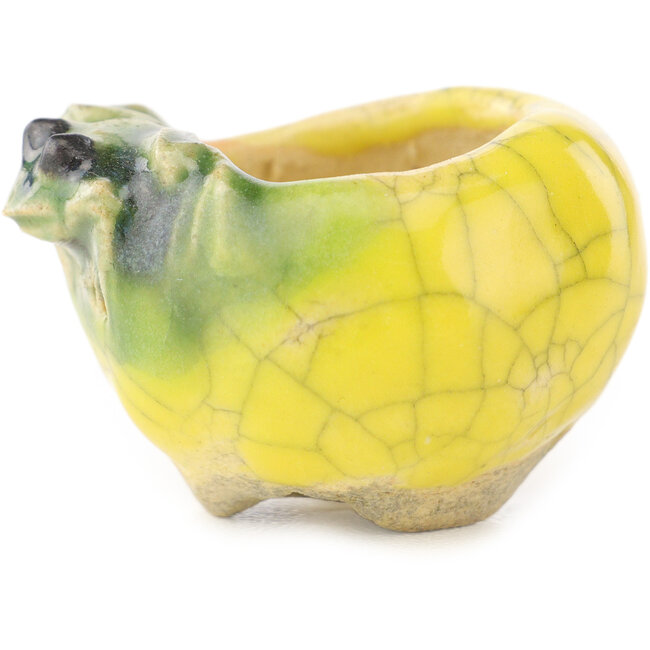 Vaso bonsai rotondo giallo e verde di Masashi Furumoto - 30 x 30 x 20 mm