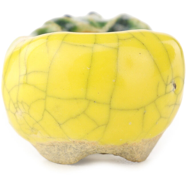 Pot à bonsaï rond jaune et vert de Masashi Furumoto - 30 x 30 x 20 mm