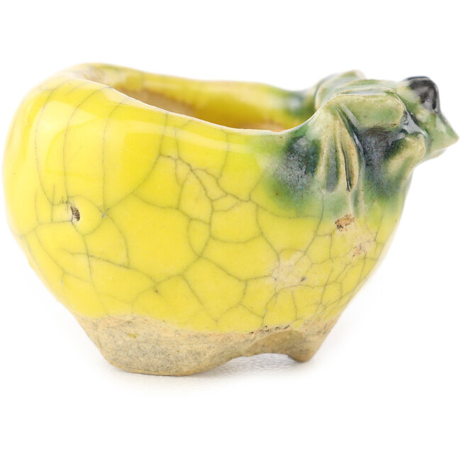Round yellow and green bonsai pot by Masashi Furumoto - 30 x 30 x 20 mm