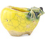 Pot à bonsaï rond jaune et vert de Masashi Furumoto - 30 x 30 x 20 mm