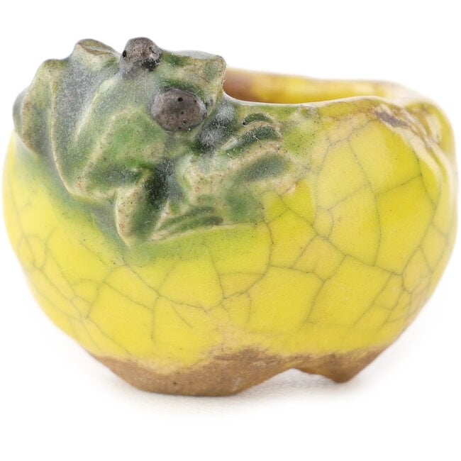 Pot à bonsaï rond jaune et vert de Masashi Furumoto - 30 x 30 x 20 mm