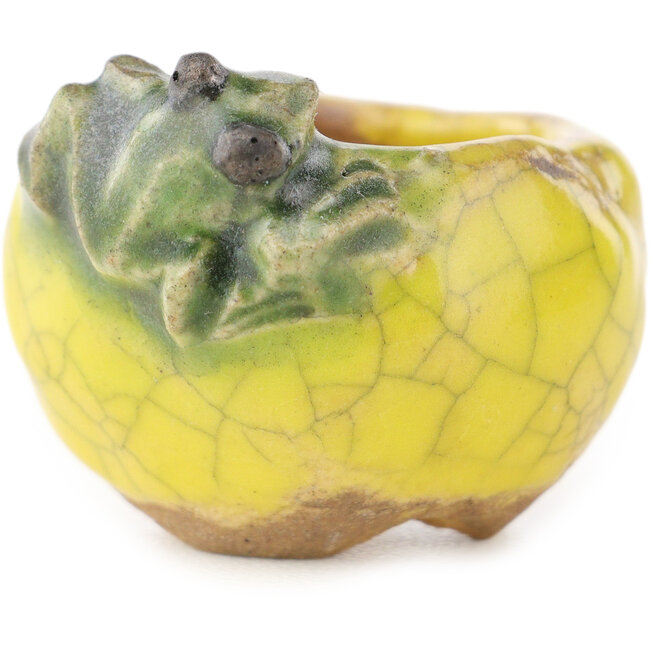 Round yellow and green bonsai pot by Masashi Furumoto - 30 x 30 x 20 mm