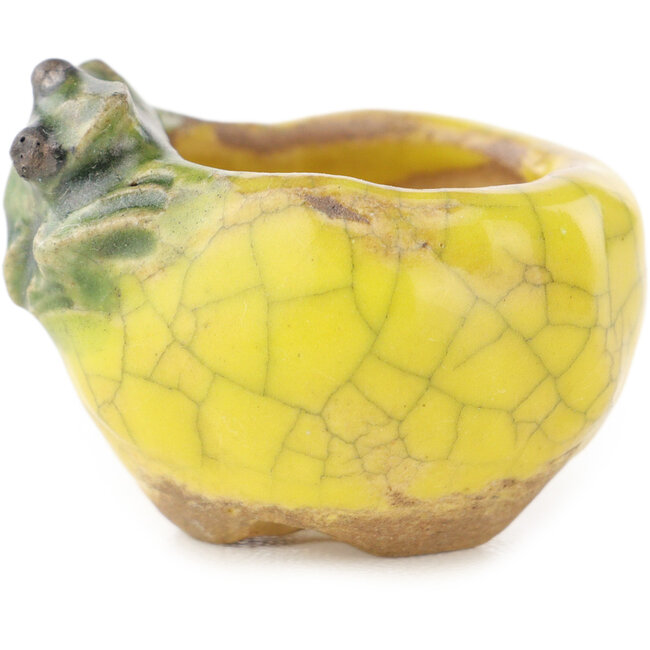Vaso bonsai rotondo giallo e verde di Masashi Furumoto - 30 x 30 x 20 mm