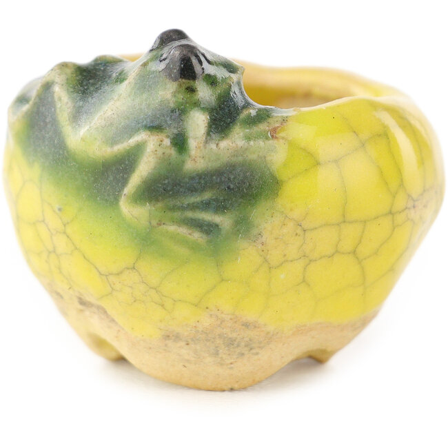 Runder gelber und grüner Bonsai-Topf von Masashi Furumoto - 26 x 26 x 17 mm