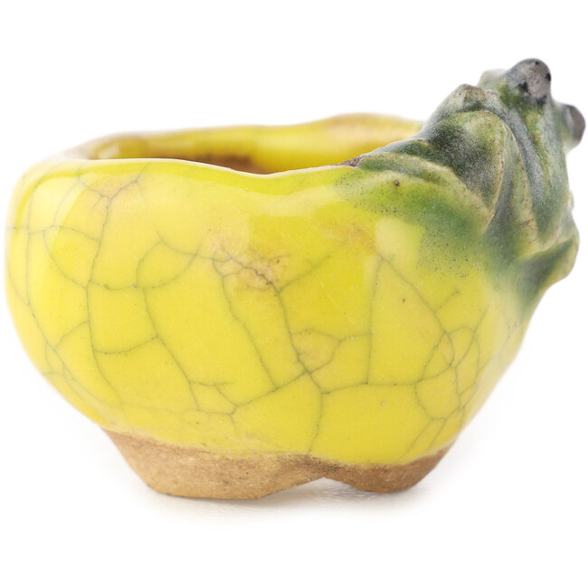 Vaso bonsai rotondo giallo e verde di Masashi Furumoto - 30 x 30 x 20 mm