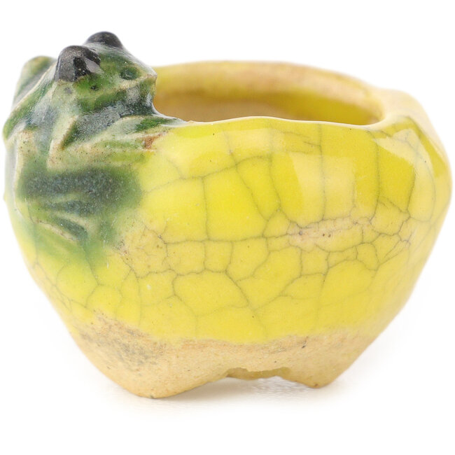 Maceta redonda amarilla y verde para bonsái de Masashi Furumoto - 26 x 26 x 17 mm