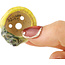 Pot à bonsaï rond jaune et vert de Masashi Furumoto - 30 x 30 x 20 mm