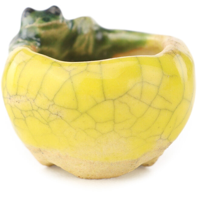 Maceta redonda amarilla y verde para bonsái de Masashi Furumoto - 26 x 26 x 17 mm