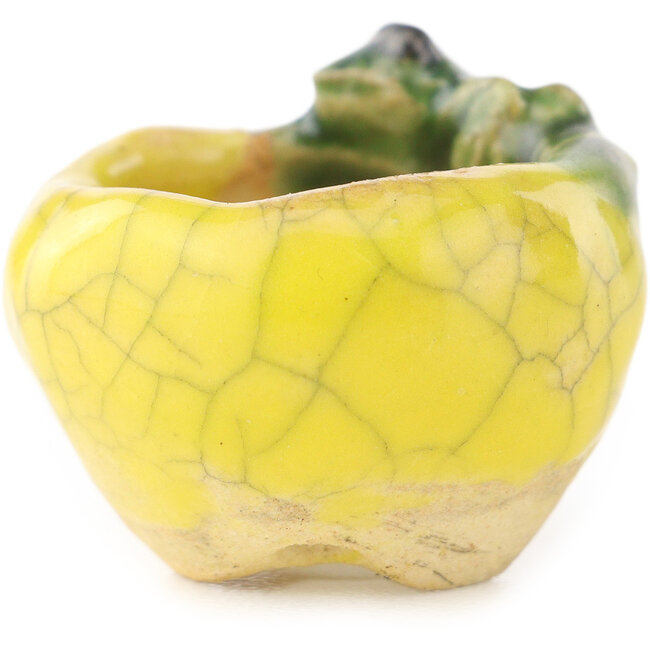 Maceta redonda amarilla y verde para bonsái de Masashi Furumoto - 26 x 26 x 17 mm