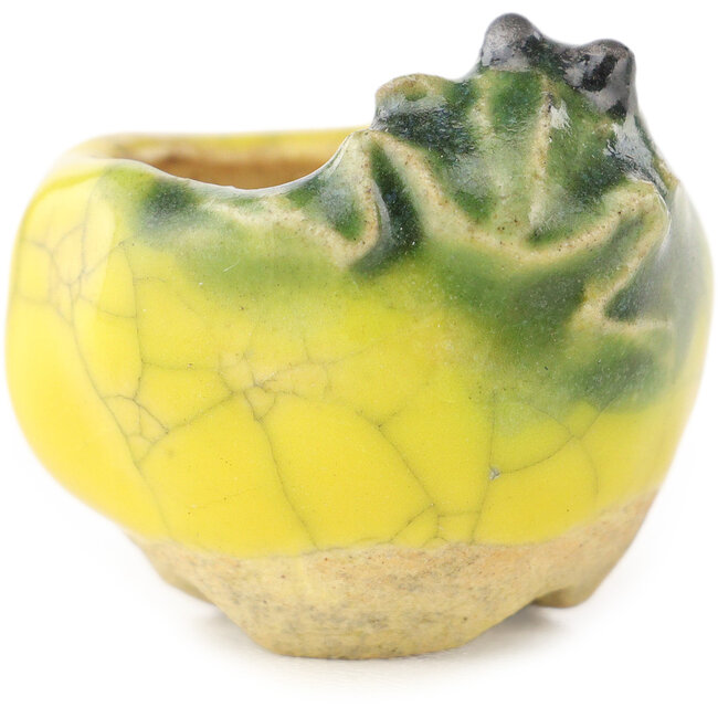 Pot à bonsaï rond jaune et vert de Masashi Furumoto - 26 x 26 x 17 mm
