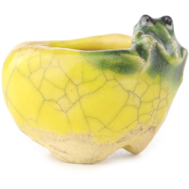 Maceta redonda amarilla y verde para bonsái de Masashi Furumoto - 26 x 26 x 17 mm