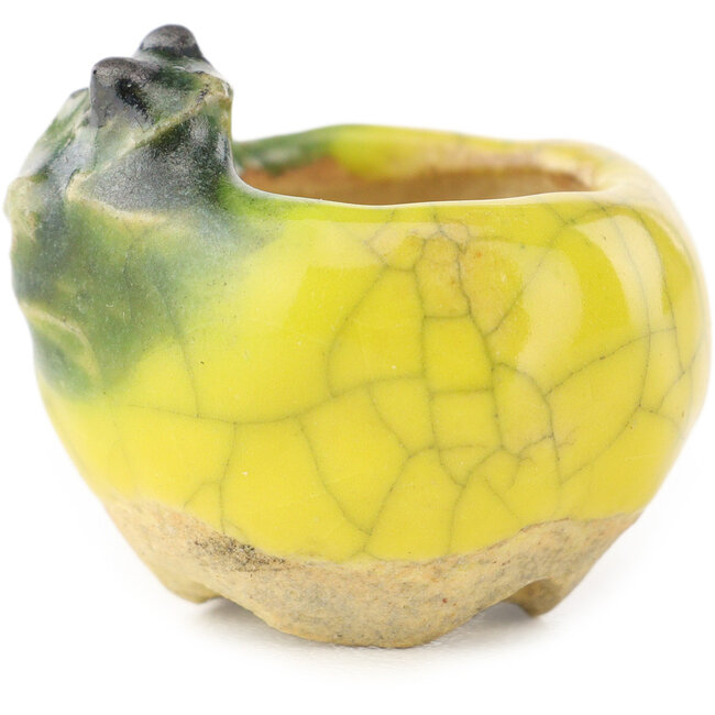 Pot à bonsaï rond jaune et vert de Masashi Furumoto - 26 x 26 x 17 mm