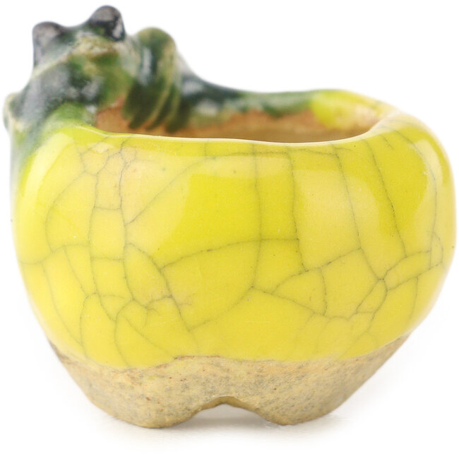 Round yellow and green bonsai pot by Masashi Furumoto - 26 x 26 x 17 mm