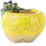 Pot à bonsaï rond jaune et vert de Masashi Furumoto - 26 x 26 x 17 mm