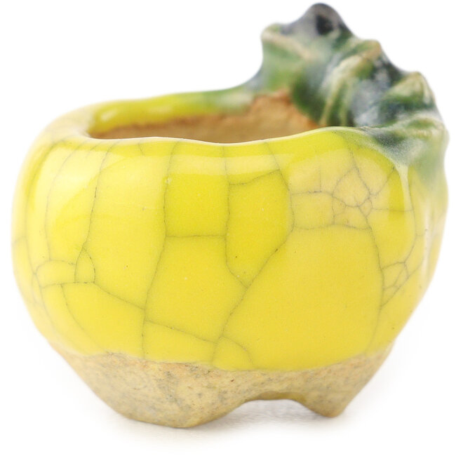 Vaso bonsai rotondo giallo e verde di Masashi Furumoto - 26 x 26 x 17 mm