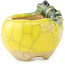 Pot à bonsaï rond jaune et vert de Masashi Furumoto - 26 x 26 x 17 mm
