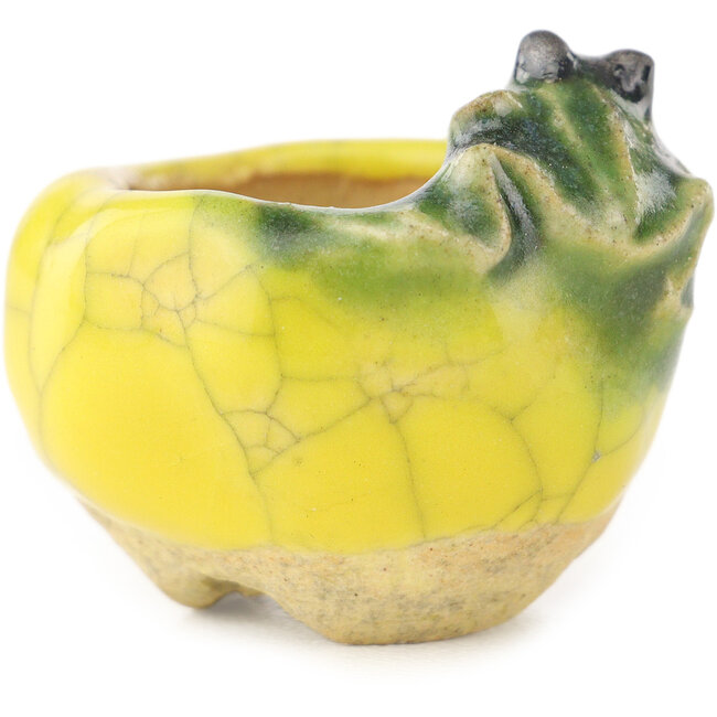 Maceta redonda amarilla y verde para bonsái de Masashi Furumoto - 26 x 26 x 17 mm