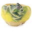 Pot à bonsaï rond jaune et vert de Masashi Furumoto - 26 x 26 x 17 mm