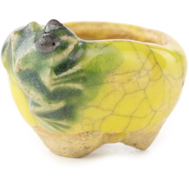 Round yellow and green bonsai pot by Masashi Furumoto - 26 x 26 x 17 mm