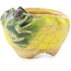 Pot à bonsaï rond jaune et vert de Masashi Furumoto - 26 x 26 x 17 mm