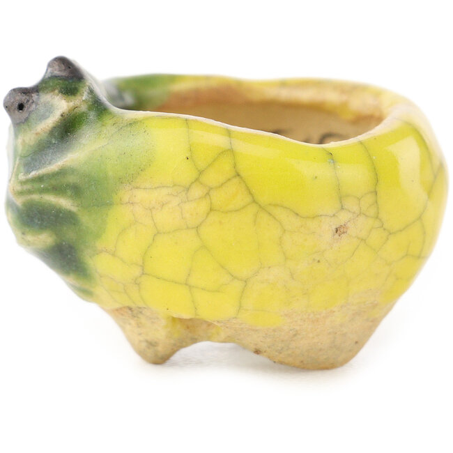 Pot à bonsaï rond jaune et vert de Masashi Furumoto - 26 x 26 x 17 mm